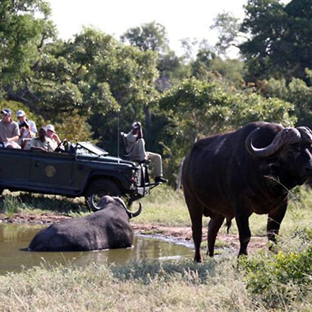 Umlani Bushcamp Villa Timbavati Game Reserve Eksteriør bilde