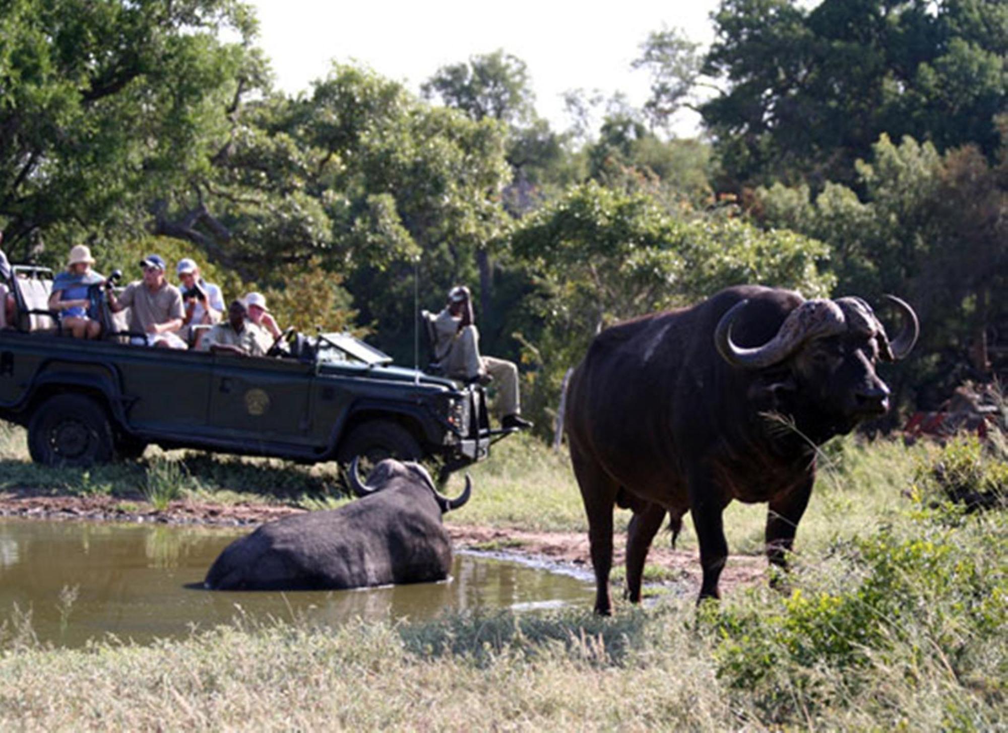 Umlani Bushcamp Villa Timbavati Game Reserve Eksteriør bilde