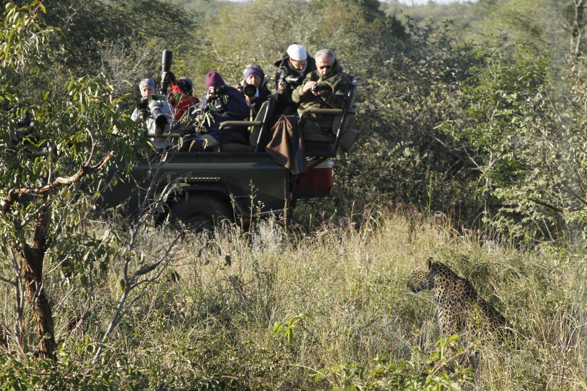 Umlani Bushcamp Villa Timbavati Game Reserve Eksteriør bilde