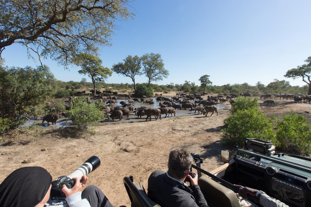 Umlani Bushcamp Villa Timbavati Game Reserve Eksteriør bilde